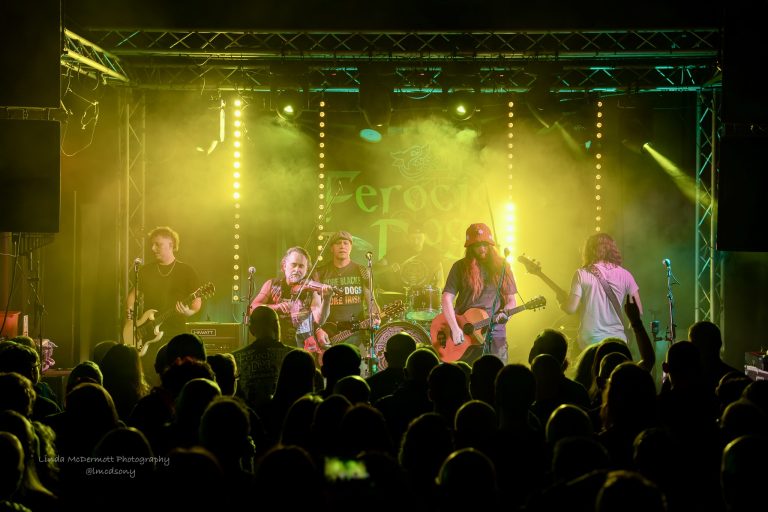 Ferocious Dog – A Folk-Punk Party to Remember at MacArts